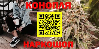 ALPHA PVP Кингисепп