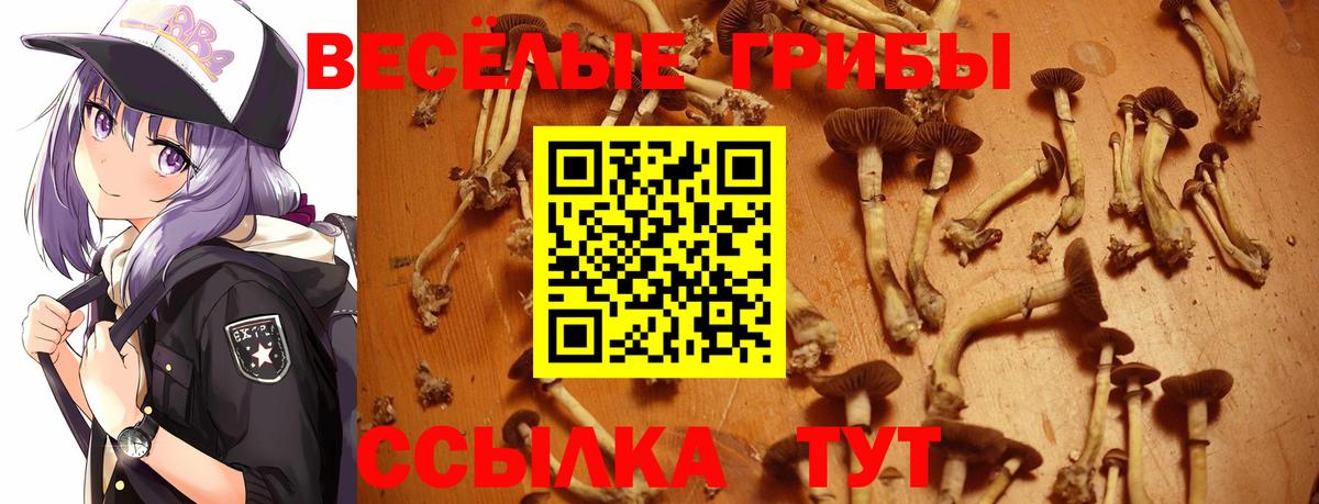 Псилоцибиновые грибы GOLDEN TEACHER  Вход с VPN  Верхняя Пышма 