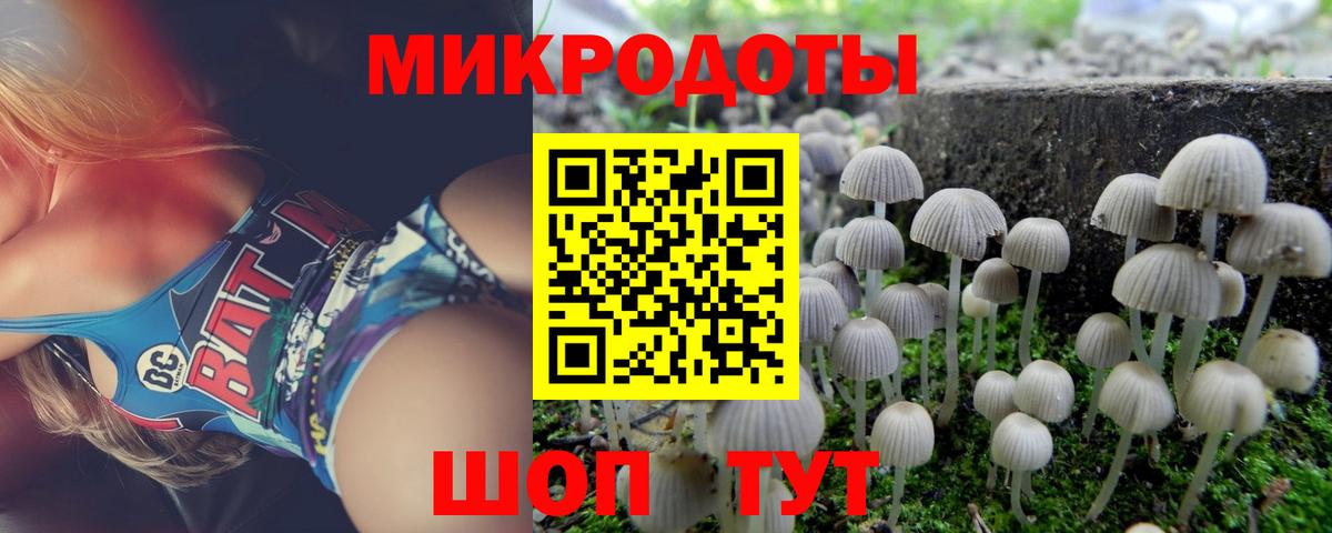 Псилоцибиновые грибы GOLDEN TEACHER Верхняя Пышма